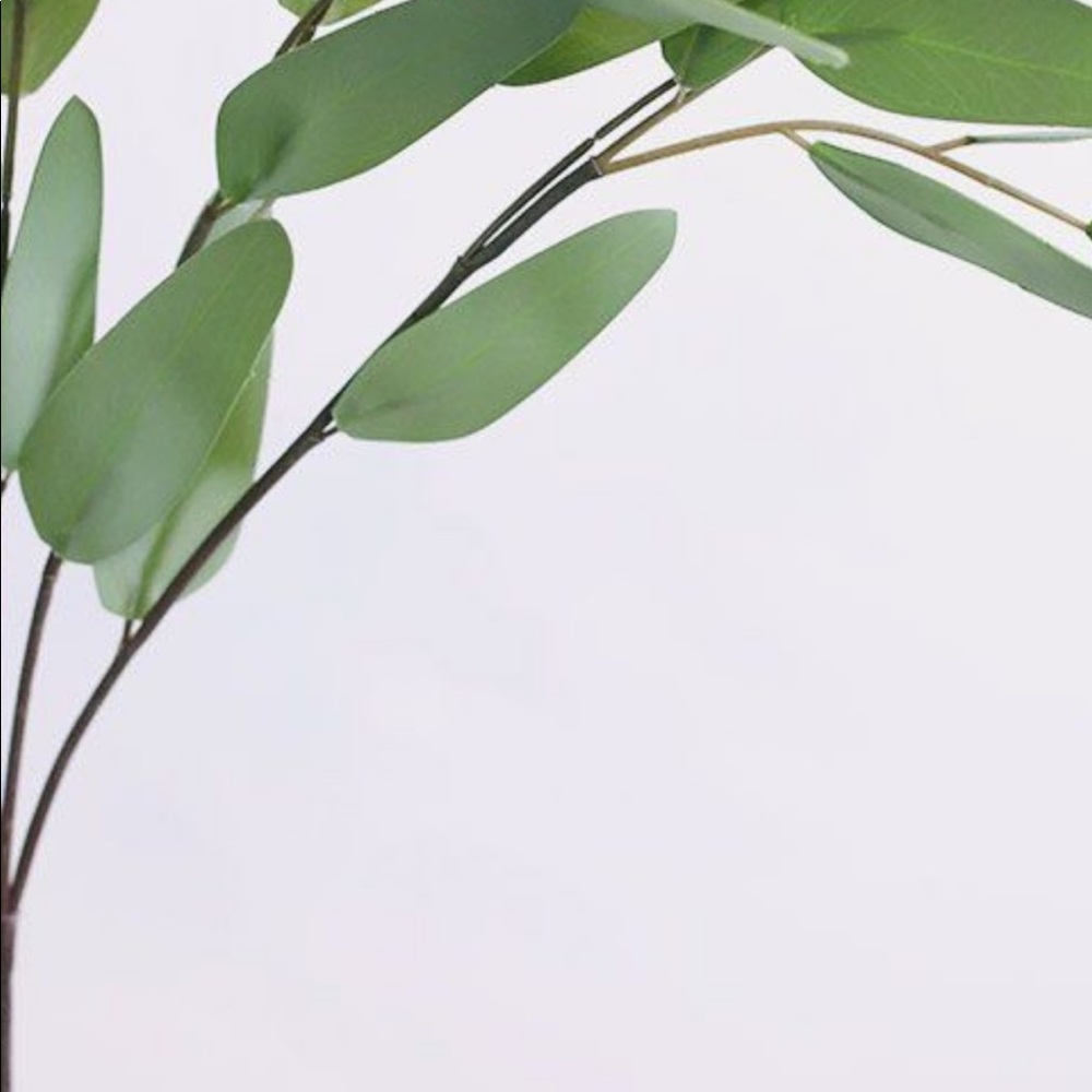 Meet your Posher, Jessie